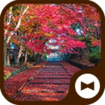 autumn bishamondo android application logo